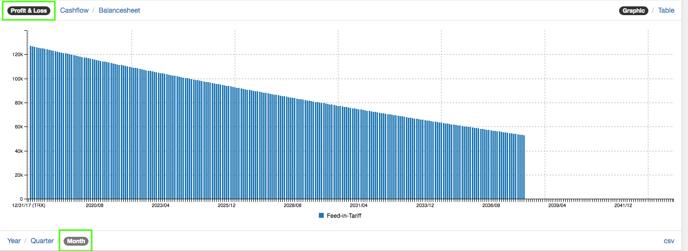 profit and loss statement